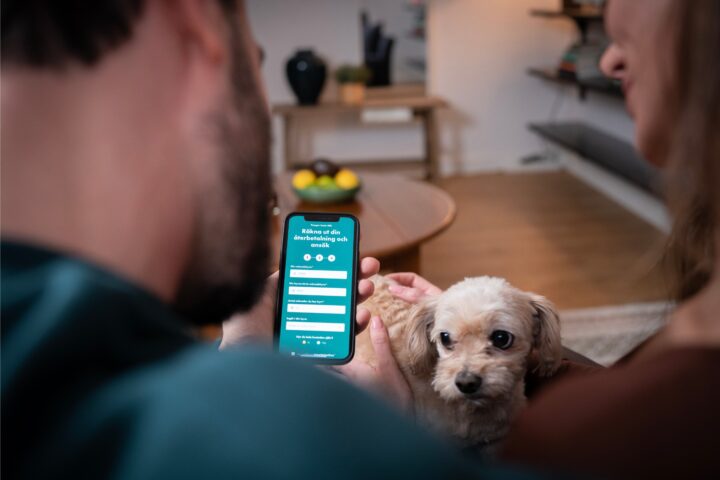 Orimlig Hyra Par sitter i soffan i sin andrahandslägenhet och tittar på mobilen